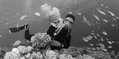 Sri Lanka - Unawatuna Beach - A Tropical Paradise Unveiled: A Breathtaking Sri Lankan Beach Adventure - 1