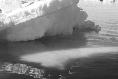 Grönland - Nuuk - Adventure Expedition to Greenland: In a Small Group We Explore by Boat, on Land and in the Air! Walk the Ice Cap, see Blue UNESCO Icebergs and More (March 2024) - 2