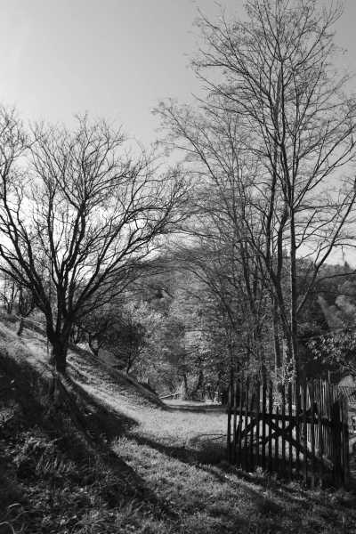 Romania - Bran - Elrow Halloween Weekend - Bran Castle, Romania - 2