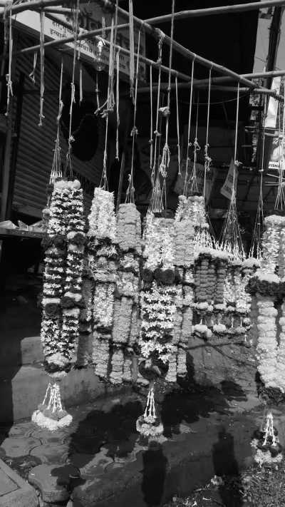 India - Thanjavur - Ancient South India: Experience the Exotic Ancient Temples and Enticing Hills of Tamilnadu - 20