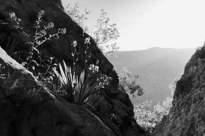 Montenegro - Cetinje - Discover The Hidden Gems of Montenegro - Hiking, Boat trip, BBQ and MORE