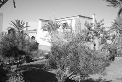 Morocco - EDEN Palm grove - Marrakech, Morocco Travel worry-free (Yoga, discovery, food and tours) - 4