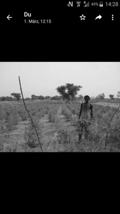 Western Africa - Gambia - Abenteuerreise nach Afrika - Gambia 😊 - 6