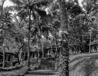 India - Manaltheeram Ayurveda Beach Village - Ayurveda & Yoga Retreat in Kerala, Indien! 🧘‍♀️🇮🇳 - 4