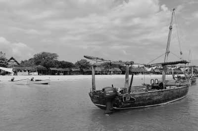 Tanzania - Menai Bay - Zanzibar: Co-Working in Paradise 🐚💻 (double rooms) - 2