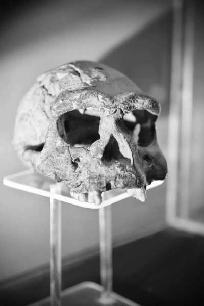 Indonesia - Museum Sangiran - Travel for Food and Culture at Central Java, Indonesia: Performing Arts, Javanese Food and Drinks | Female only Trip - 4