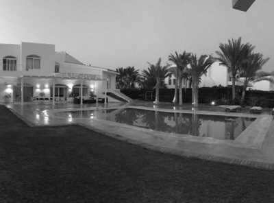 Ägypten - El Gouna - Kite & Funnels - Ägypt - 1