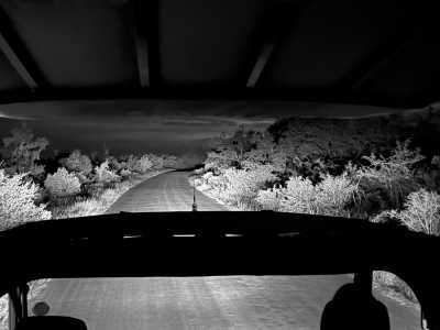 Subsahara-Afrika - Marloth Park - Echoes of the Wild: A Journey from Kruger's Big Five to Mozambique's Whale Wonders - 1