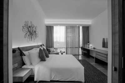 Sri Lanka - Colombo - Join the Ultimate Sri Lankan Extravaganza: Witness the Mesmerizing Kandy Esala Perahera, Indulge in Sri Lankan Food, and Explore Breathtaking Landscapes - 7