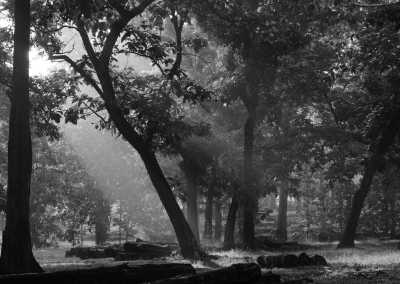 Indien - Dandeli - All of Karnataka, India: 15-Day Tour Featuring Hampi, Badami, & Aihole's Hidden Gems