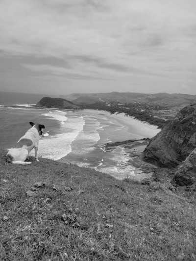 Südafrika - Wilderness - 🌞Ultimate 10-Day South Africa Road Trip🇿🇦Cape Town & The Garden Route – 🌊Adventure, Nature & Epic Vibes! - 1