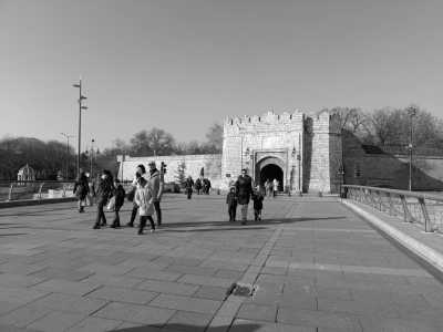 Serbia - Niš - Meat Festival in Leskovac, Serbia - Taste local dishes! - 1