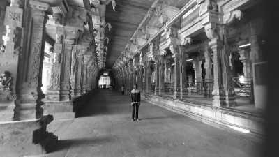 India - Tiruchirappalli - Ancient South India: Experience the Exotic Ancient Temples and Enticing Hills of Tamilnadu - 31