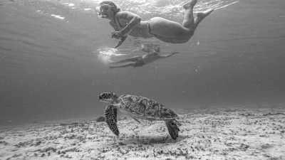 Philippinen - Port Barton - Palawan Paradise Exploration: From El Nido to Balabac, Philippines - White Beaches to Cultural Delights! - 2