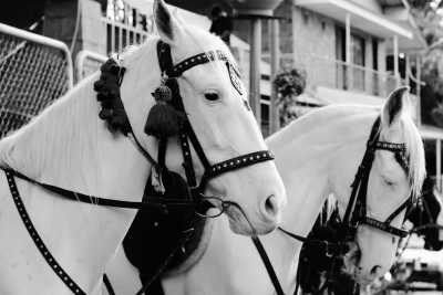 Pakistan - Lake View Park - Explore Islamabad, the Capital of Pakistan 🍃 Nature, Culture, Sightseeing, Food and more! - 3