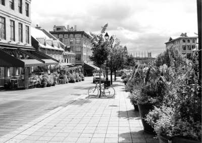 Canada - Montreal - Canadian Nature Adventure: Discovering the Natural Beauty of Canada on a RoadTrip - 2