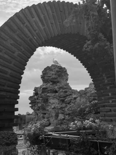 Bulgarien - Nessebar - Experience the Ultimate Relaxation with Yoga, Natural Mud Therapy, Sun , Sea  and Sand in Beautiful Bulgaria - Ladies Only (Sofa bed) - 5