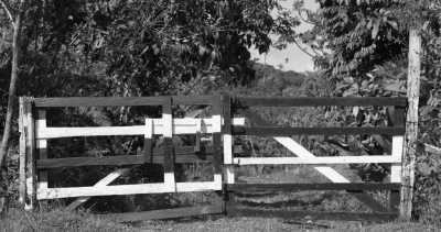 Costa Rica - La Gamba centro - Co-working und Volunteering im Regenwald Costa Ricas - 13