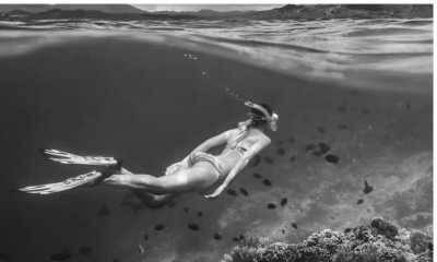 Indonesien - Mansuar - Raja Ampat YOGA Liveaboard Escape to Explore the 5 Great Magical Diving Spots - 2