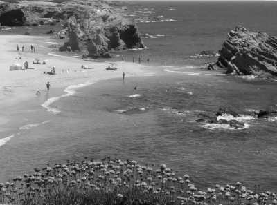 Portugal - Sines - Escape to Melides, Portugal: Nature, Relaxation, and Coworking Await! - 1