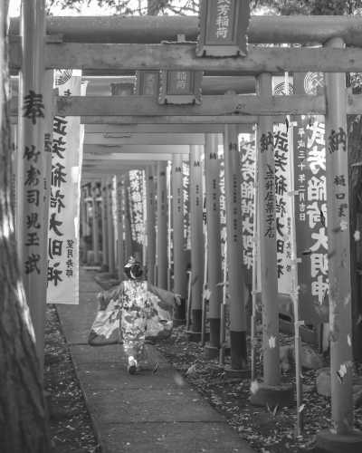 Japan - Tokyo - 9 Days of Japan Journeys: Unveiling Autumn's Charms in Osaka, Kyoto, Nagoya, Tokyo! - 2