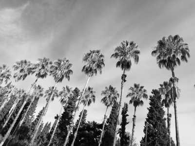 Argentina - Mendoza - Discover Mendoza, Argentina with a local: Mountains, Wine & Food Culture and more! - 4