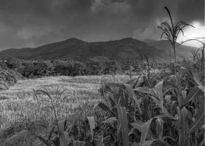 Colombia - Pueblo Bello - Colombia Guided Trip: Nabusimake,  Sierra Nevada de Santa Marta Trekking in a Coffe Finca of a Mamo Elois