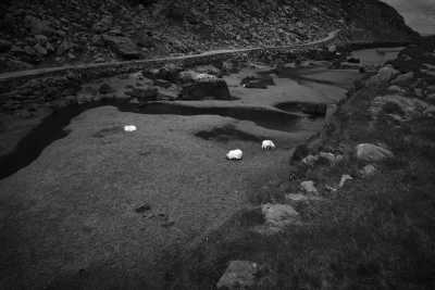 Irland - Gap of Dunloe - Fotoreise und Foto-Workshop - Entdecke Irland! 📷🇮🇪 - 4