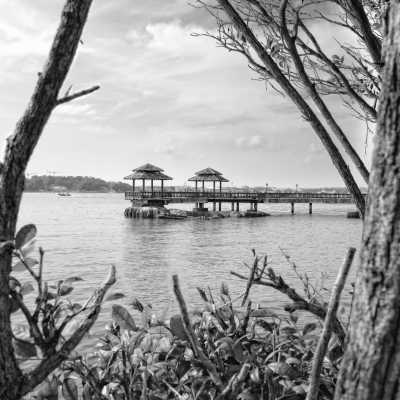 South-eastern Asia - Singapore - Malaysia, Singapore, and Indonesia: A  2-Week Adventure - 3