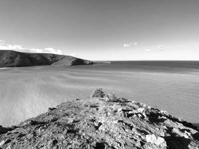 Mexico - La Paz - 5-day Gray Whale Adventure in Baja, Mexico!