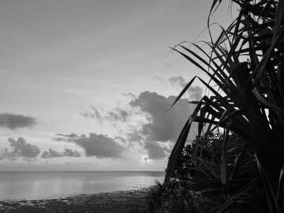 Tanzania - Jambiani - Zanzibar Coworking Experience: Your Journey Starts Here - 3