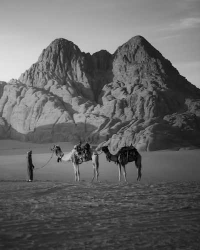 Jordan - Wadi Rum Bedouin Camp - Explore the Magnificent Treasures of Jordan like Never Before: From the Dead Sea to the Red Sea and Beyond! - 3