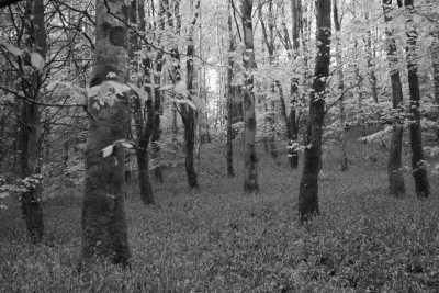 Ireland - Monaghan - Experience County Monaghan: Activity Packed Weekend - 5