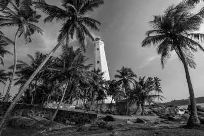 Sri Lanka - Mirissa - 2 Week Sri Lanka Tuktuk Trip - 1