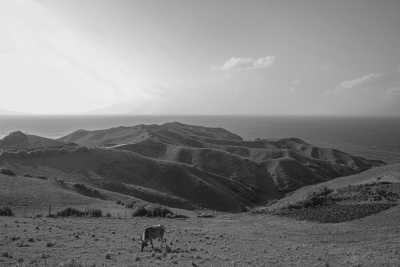 Spanien - Plentzia - Experience the Beauty of Northern Spain's Basque Country~ Bilbao to San Sebastián