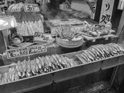 Ostasien - Kyoto - Best of Japan 🏯 |  Tokyo, Kyoto and Osaka | Full Japanese Experience👘🎍 - 9