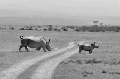 Tanzania - Serengeti National Park - Ultimate Serengeti to Zanzibar Trip: Explore the Best of Tanzania - 2