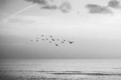 Lithuania - Nendrinė pastogė, sodyba - Guided Baltic Sea Vacation in June - Seaside Apartment, Wellness, Sauna and Bike Trip! - 1