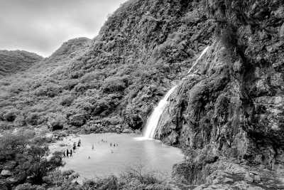 Oman - Salalah - New Year's Oasis ✨: A Magical Journey from Muscat to Salalah