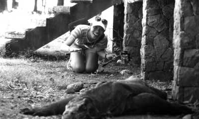 Indonesien - Komodo Island - Trip to Komodo Island: Pink beaches, Snorkeling, Staying in a Traditional Village in Indonesia and more - 2