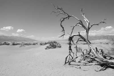 United States - Death Valley - Hiking the Southwest of the USA - 1