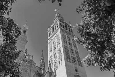 Spain - Sevilla - Seville & Andalusia: From the Enchanting Alcazar to Stunning Flamenco Nights (exclusive small group trip) - 11