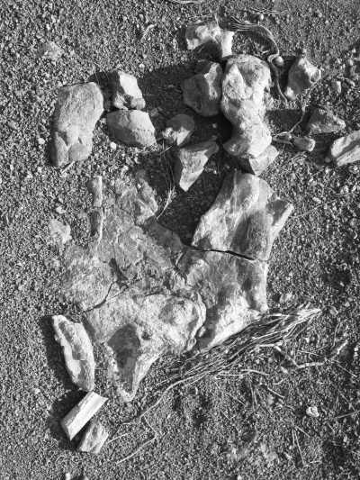 South Africa - Sutherland - Entdecke Südafrika: Das Kap, der Wein, gutes Essen und der Rooibos - 10