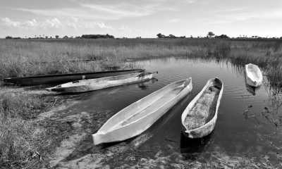 Uganda - Ziwa Rhino Sanctuary - Uganda: 🦍 Hike to wild Mountain Gorillas, 🦏 Track Rhinos, 🌅 Lake Victoria cruise, White water rafting, Stand on the equator line & visit Entebbe, Kampala & Jinja towns - 4