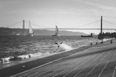 Portugal - Lisbon - Unique Lisbon Sports Tour Experience, Explore Portugal! - 4