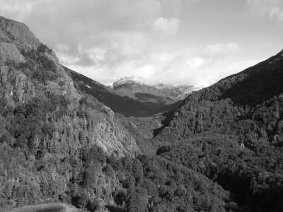 Argentina - Lago Esperanza - Majestic Horse Riding Adventure,"Eye To Eye with the Condor" - 2