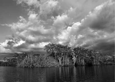 Ecuador - El Puente Cuyabeno - Jungle Immersion: 5 Days of Discovery at Cuyabeno Lodge, Ecuador