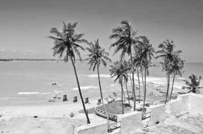 Ghana - Explore Cape Coast( Castle Tours and Canopy Walkway) - JoinMyTrip