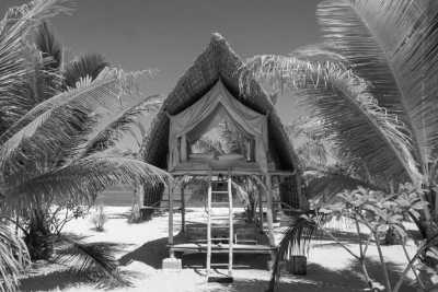 Indonesien - Le Pirate Island - *Returning Tripmates only* A Thrilling Tour to Indonesia's Most Beautiful Islands: Unforgettable Liveaboard Experience, Seaside Glamping and Relaxation in a Beachfront Villa (INDONESIA TRIP - PART I) - 3