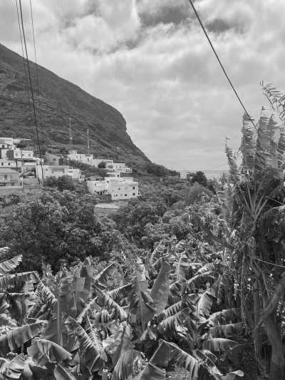 Spanien - Igueste - Canary Islands at Easter ☀️🌴 Let's hike to beautiful viewpoints, explore subtropical nature, visit a local Eco Finca and jump into natural volcanic pools 🌋 - 2